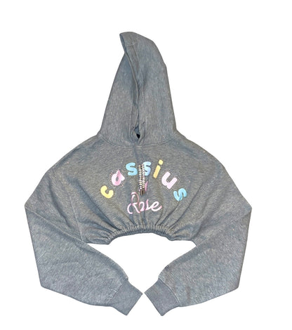 Pastel colors graphic full rhinestones - cropped grey hoodie